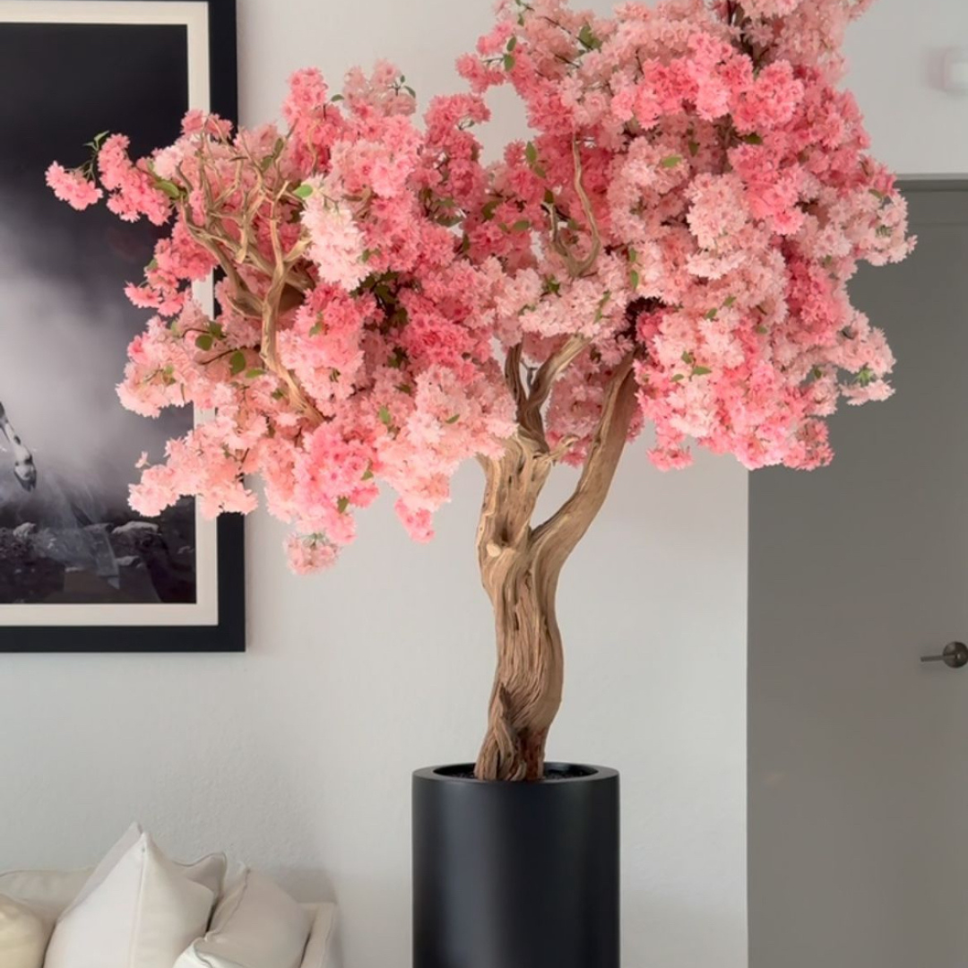 Le CherryTree