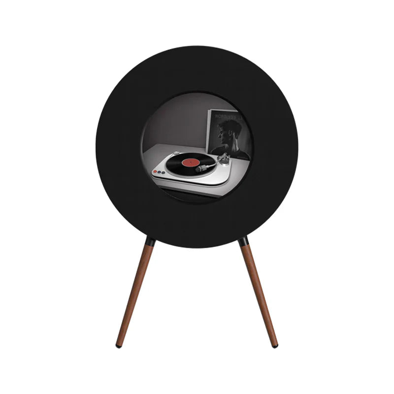 Le Vinyle